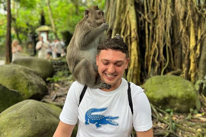 Ubud Full Day - Monkey Forest, Rice Terrace and Waterfalls Tour - Why this Ubud day trip works from Seminyak