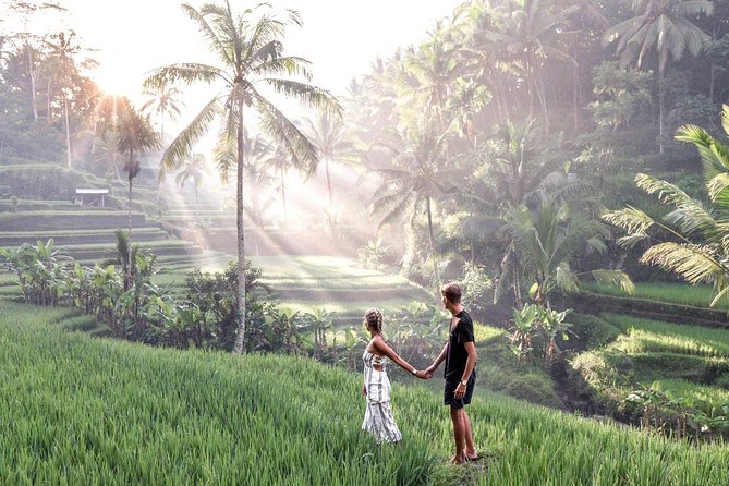Ubud Full Day Tour Waterfall Monkey Forest Rice Terrace - Transport, pickup areas, and the real timing