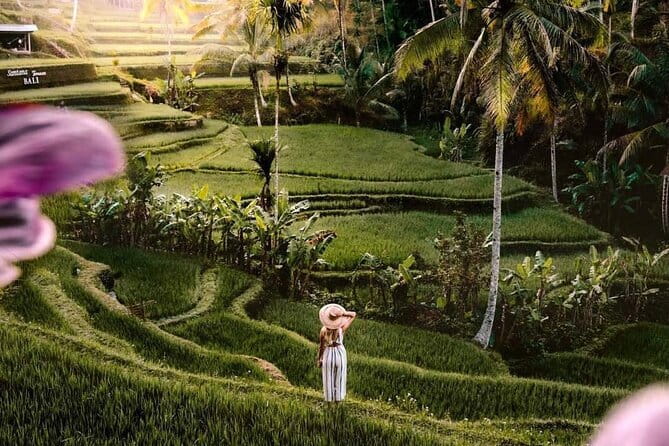 Ubud Highlights -Private Tour,Temples, Waterfalls & Rice terraces - Key points at a glance