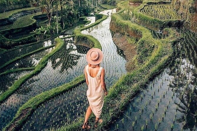 Ubud Highlights -Private Tour,Temples, Waterfalls & Rice terraces - Tegallalang Rice Terrace: Bali’s classic green view