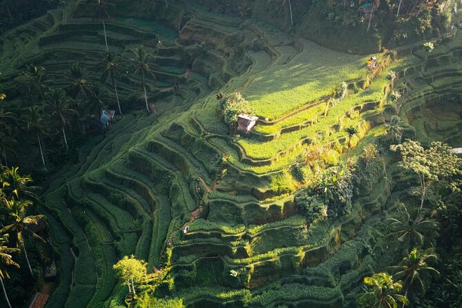Ubud Iconic Full Day Tour Monkey Forest Rice Terraces Waterfalls - Cooling off at Tegenungan Waterfall