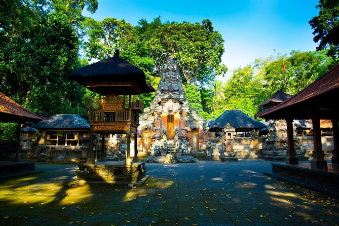 Ubud Iconic Full Day Tour Monkey Forest Rice Terraces Waterfalls - Why the private vehicle matters