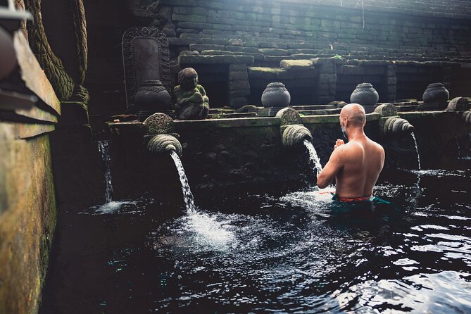 Ubud Iconic Full Day Tour Monkey Forest Rice Terraces Waterfalls - Meeting Bali’s macaques at the Sacred Monkey Forest