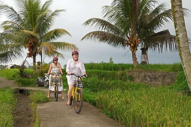 Ubud : Kintamani Downhill Cycling Tour with Lunch - Why the Kintamani to Tampaksiring route works so well