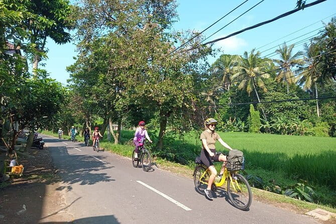 Ubud : Kintamani Downhill Cycling Tour with Lunch - Lunch at The Amertha Restaurant near Tampaksiring