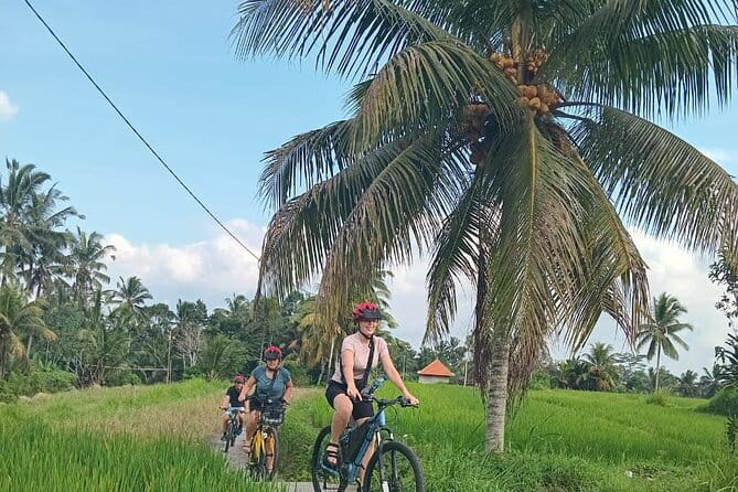 Ubud : Kintamani Downhill Cycling Tour with Lunch - Bayung Gede, where the wheels start turning