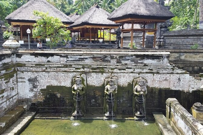 Ubud Kintamani Tour - Tegenungan Waterfall and the first big photo stop