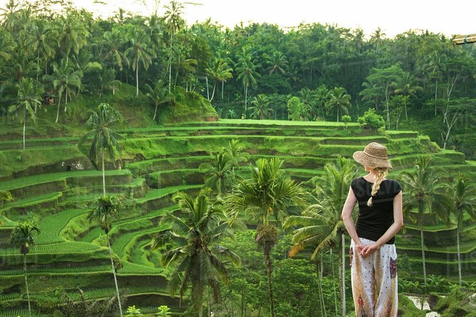 Ubud: Monkey Forest, Jungle Swing, Rice Terrace, and Water Temple - A full Ubud day, with plenty packed in
