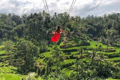 Monkey Forest, Jungle Swing, Rice Terrace, and Water Temple