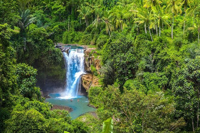 Ubud: Monkey Forest, Jungle Swing, Rice Terrace, and Water Temple - Why the private driver-guide matters