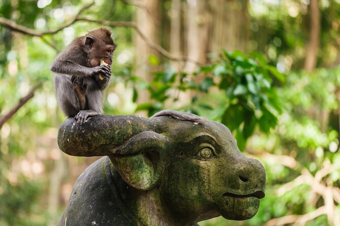 Ubud: Monkey Forest, Rice Terraces & Sacred Temples - Ubud Palace and a short look at royal Bali