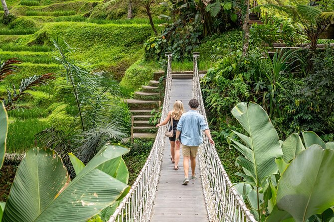 Ubud: Monkey Forest, Rice Terraces & Sacred Temples - Monkey Forest: temples, trees, and cheeky macaques