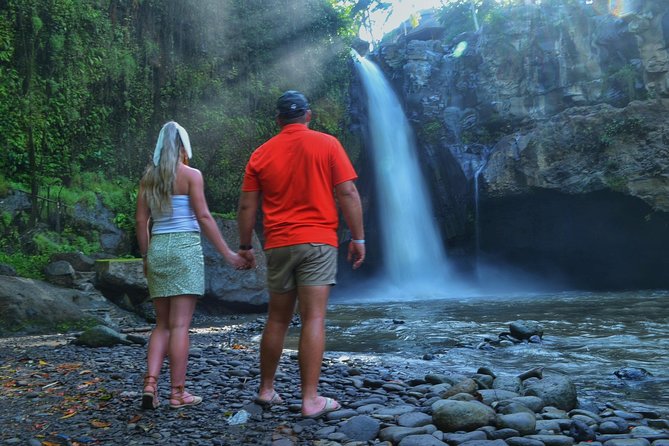 Ubud Monkey Forest Sanctuary Tours and Cretya - What the $73 Price Really Covers