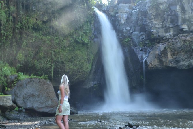 Ubud Monkey Forest Sanctuary Tours and Cretya - The Best Parts and the Limits