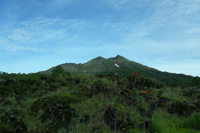 Ubud Natural Gems And Secret Waterfall Private Guided Tour - Walking the Tegalalang Rice Terrace