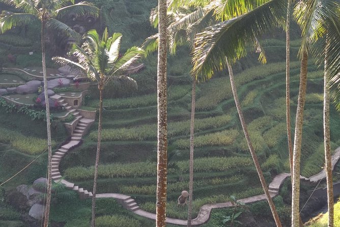 Ubud Private & Customize Day Tour - Monkey Forest: macaques and temple grounds