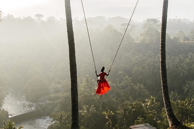 Ubud Private Full-Day Tour - A long day from Seminyak into Ubud country