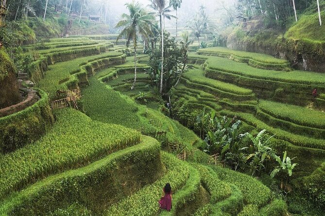 Ubud Private Full-Day Tour - My Swing Bali: a dedicated photo stop