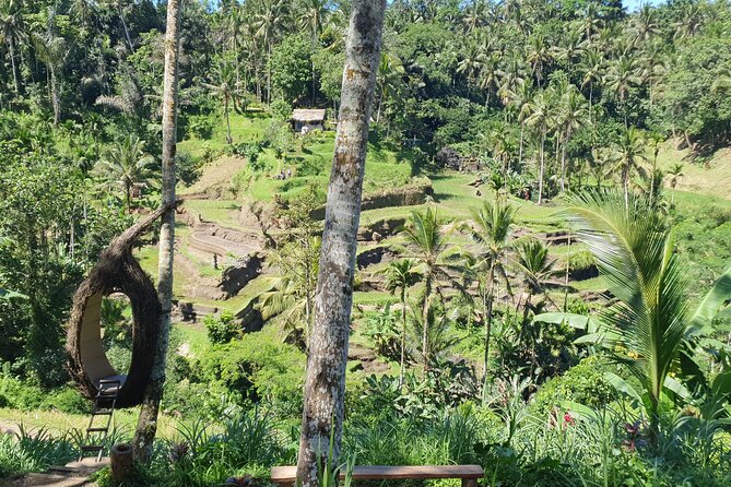 Ubud Private Tour - Tegenungan Waterfall as the final scenic stop