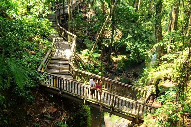 Ubud Private Tour : Best Of Ubud - Guided Tour - Meeting the monkeys at Sacred Monkey Forest Sanctuary