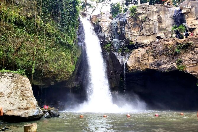 Ubud Private Tour : Best Of Ubud - Guided Tour - Swinging above the jungle at d’Alas Swing