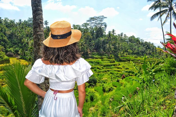 Ubud Private Tour : Choice Your Own Trip - Celuk Village and Bali’s silver craft