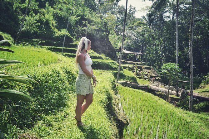 Ubud Private Tour : Choice Your Own Trip - Tegenungan Waterfall: a short walk with an extra charge