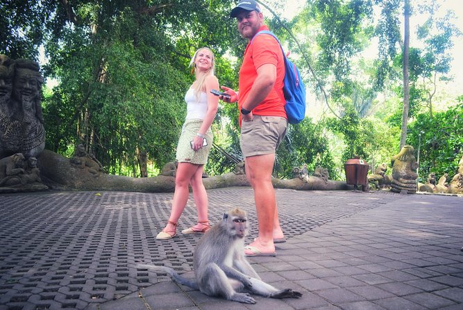 Ubud Private Tour : Choice Your Own Trip - Ubud Market and the practical art-shopping stop