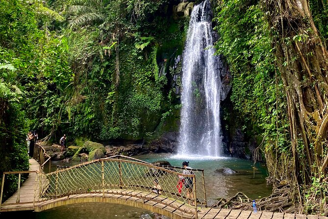 Ubud Private Tour: Monkey Forest, Rice Terrace, Temple, Waterfall - Lunch with jungle views at Tebasari Resto