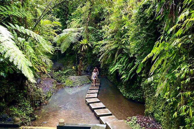 Ubud Private Tour: Monkey Forest, Rice Terrace, Temple, Waterfall - Understanding Tirta Empul’s holy water