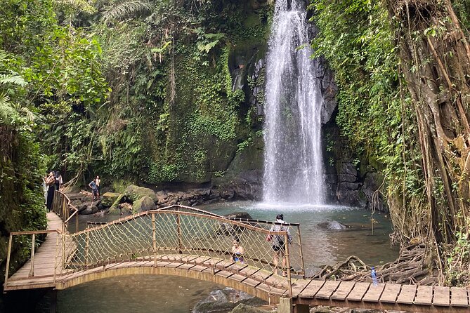 Ubud Private Tour: Monkey Forest, Rice Terrace, Temple, Waterfall - What the $27 price really covers