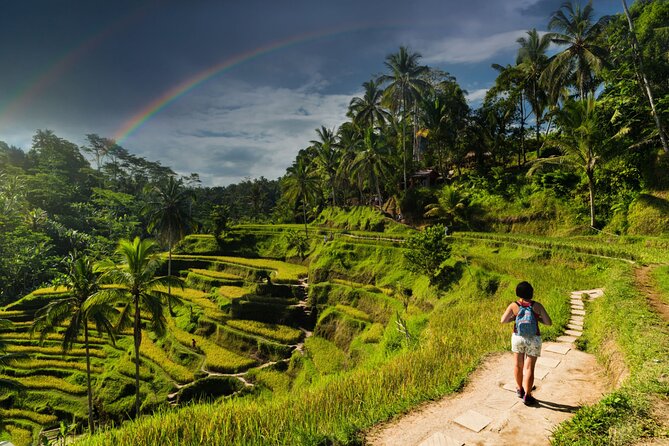 Ubud Private Tour: Monkey Forest - Tirta Empul Temple - Tirta Empul: the day’s most important cultural stop