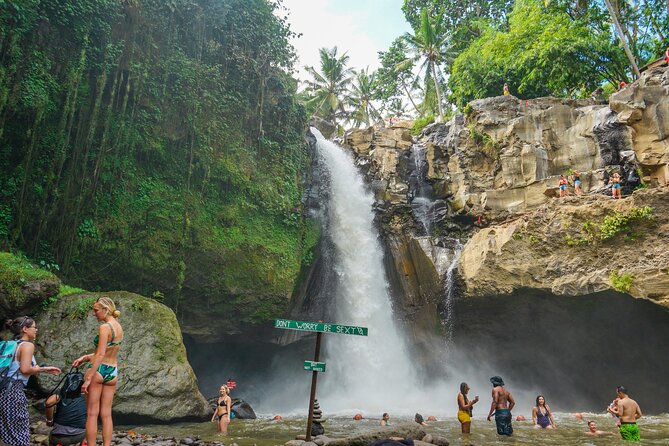 Ubud Private Tour: Monkey Forest - Tirta Empul Temple - Gianyar Street Night Market: end with food and local color