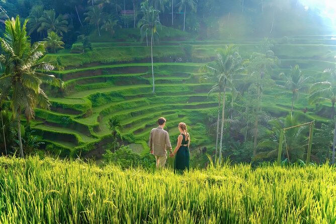 UBUD Private Tour – Rice Terrace, Jungle Swing & Hidden Waterfall - Tegalalang pairs rice fields with a high-flying photo stop