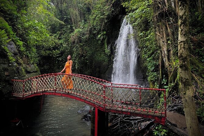 UBUD Private Tour – Rice Terrace, Jungle Swing & Hidden Waterfall - What the private vehicle and guide change