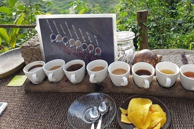 UBUD Private Tour – Rice Terrace, Jungle Swing & Hidden Waterfall - Is $33.82 a good price?