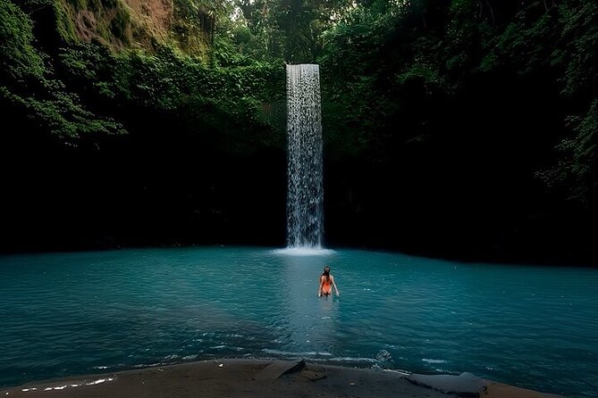 UBUD Private Tour – Rice Terrace, Jungle Swing & Hidden Waterfall - Choose Tirta Empul or the Sacred Monkey Forest