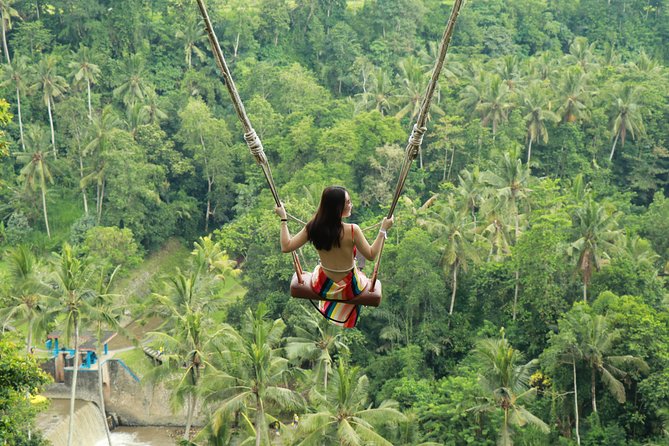 Ubud Private Tours with Jungle Swing Experience - all inclusive - Key points at a glance