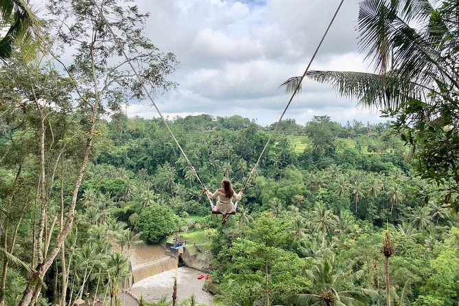 Ubud Private Tours with Jungle Swing Experience - all inclusive - What the $60 day really includes