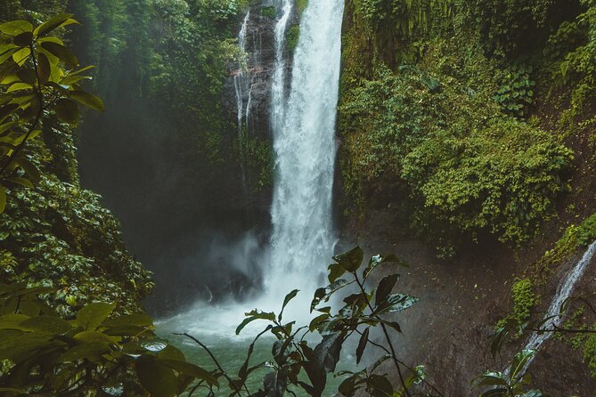 Ubud private tours - Goa Raja’s Pool and Forest Walk