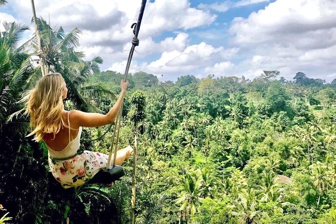 Ubud Sightseeing, Holy Water Temple & Waterfall - What this Ubud route gets right