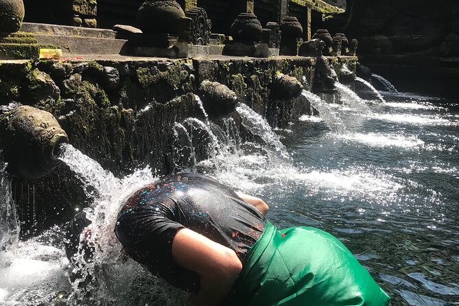 Ubud Sightseeing, Holy Water Temple & Waterfall - Tegalalang Rice Terrace near the end