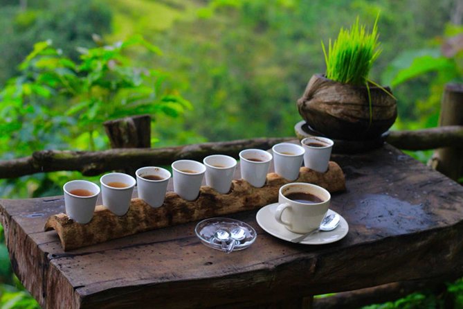 Ubud Sightseeing, Holy Water Temple & Waterfall - How much value do you get for $40?