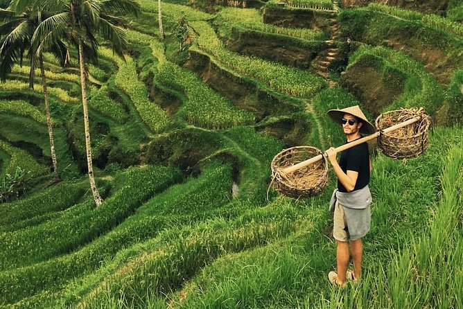 Ubud Sightseeing, Holy Water Temple & Waterfall - Starting early from Ubud