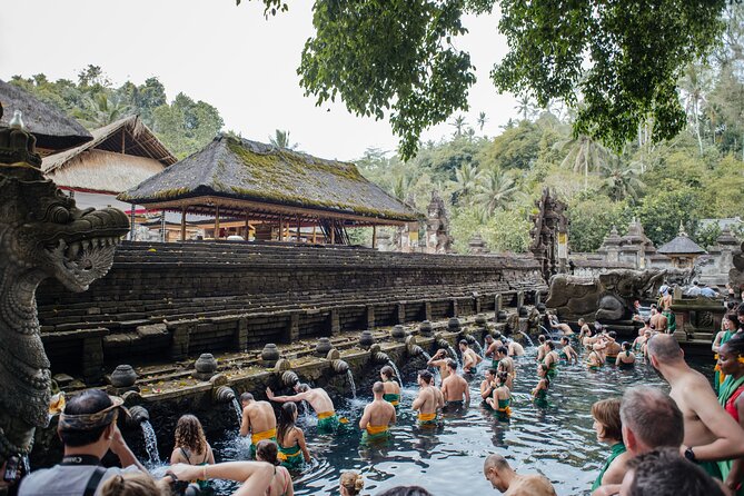 Ubud Small Group Tour: Monkey Forest, Tegalalang Rice Terraces and more - What this Ubud day tour actually delivers