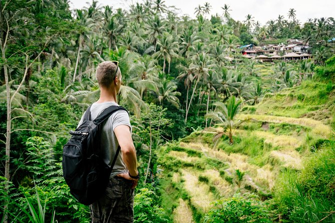 Ubud Small Group Tour: Monkey Forest, Tegalalang Rice Terraces and more - Tegalalang Rice Terrace brings the best views