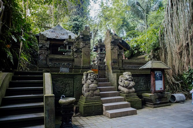 Ubud Small Group Tour: Monkey Forest, Tegalalang Rice Terraces and more - Who should book this tour?