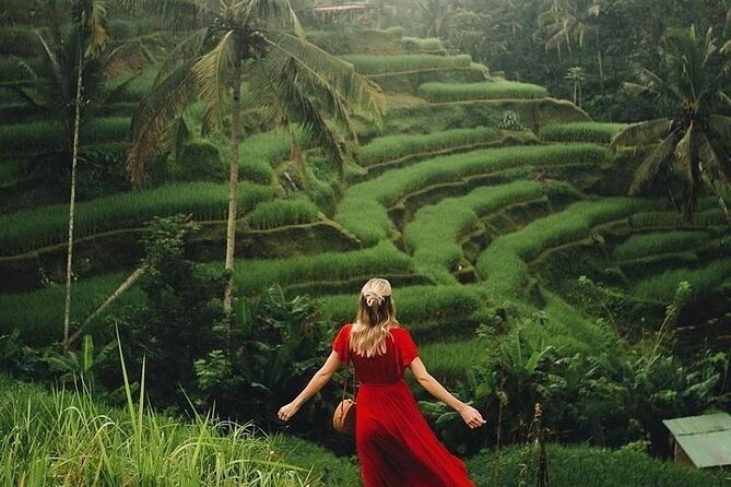 Ubud: Swing - Monkey Forest - Waterfall - Temple - Rice Terraces - Art Crafts - Tegenungan Waterfall: jungle views with a climb
