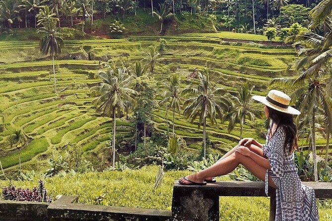 Ubud: Swing - Monkey Forest - Waterfall - Temple - Rice Terraces - Art Crafts - What the private driver adds