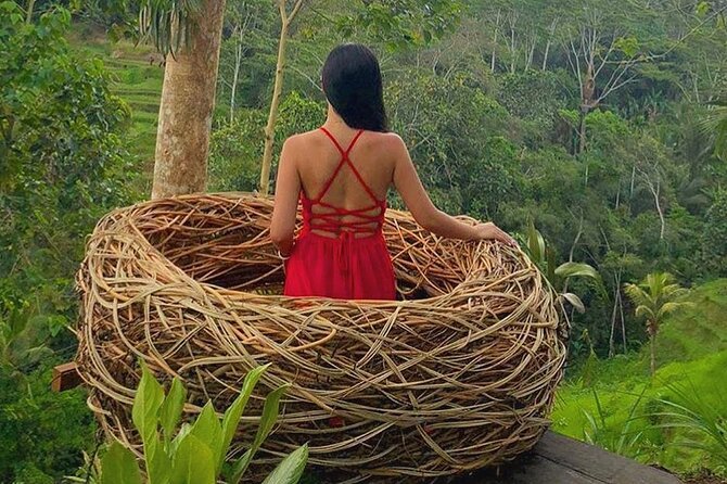 Ubud: Swing - Monkey Forest - Waterfall - Temple - Rice Terraces - Art Crafts - Traffic, timing, and the real shape of the day